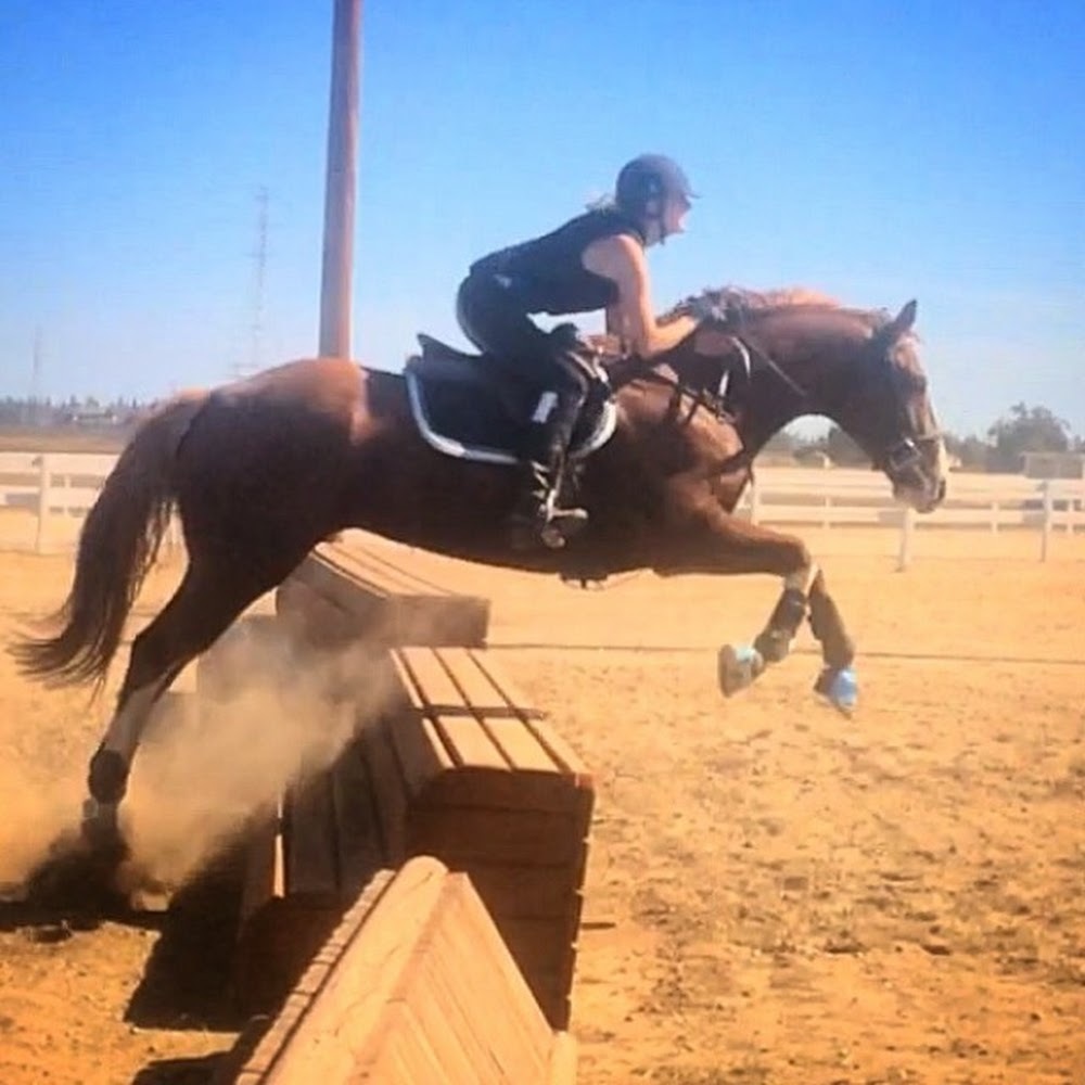 Meet your Posher, Tess